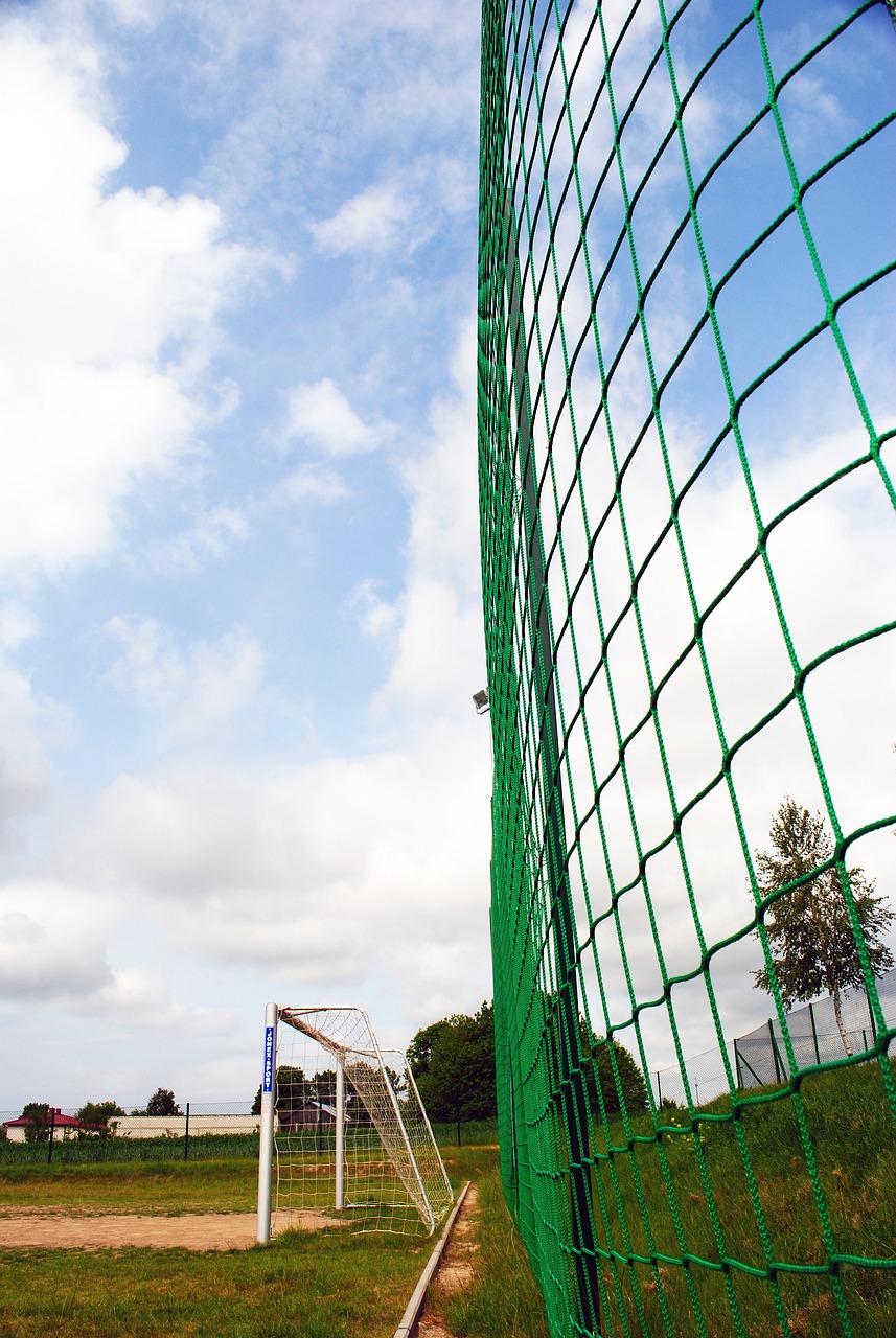 通过AI分 通过AI分