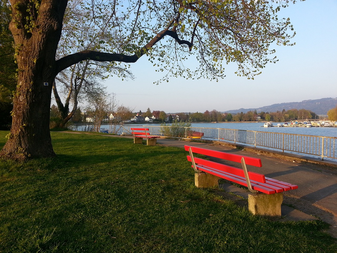 引发了全球 引发了全球