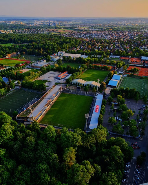 这样的评价 这样的评价