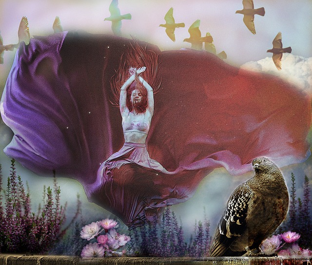 知名度高的 知名度高的