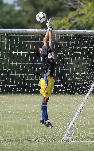 引领新风潮 引领新风潮