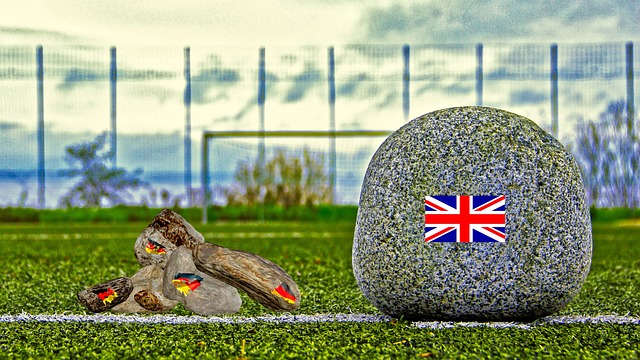 在严格训练 在严格训练