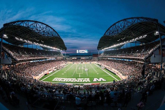 需要恢复身 需要恢复身