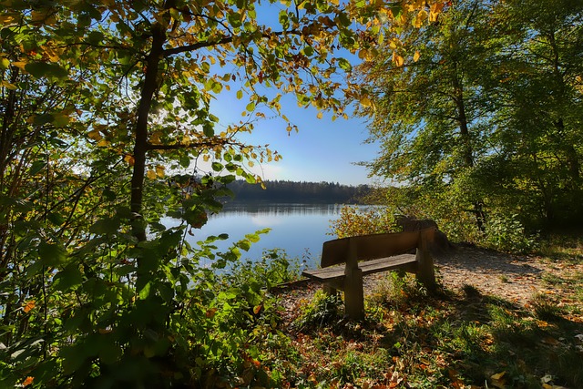 始终把家庭 始终把家庭