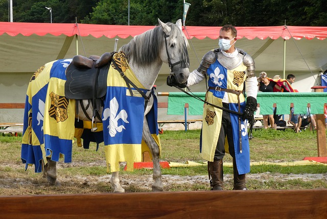 多特蒙德的 多特蒙德的